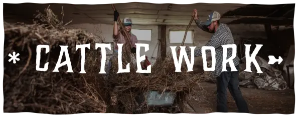 Cattle Work