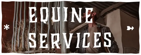 Equine Services